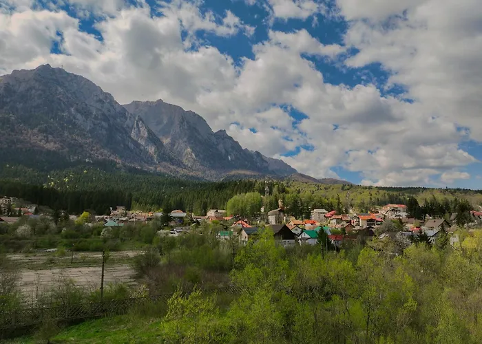 Busteni Mountain View Suites By The River - Ev Plug