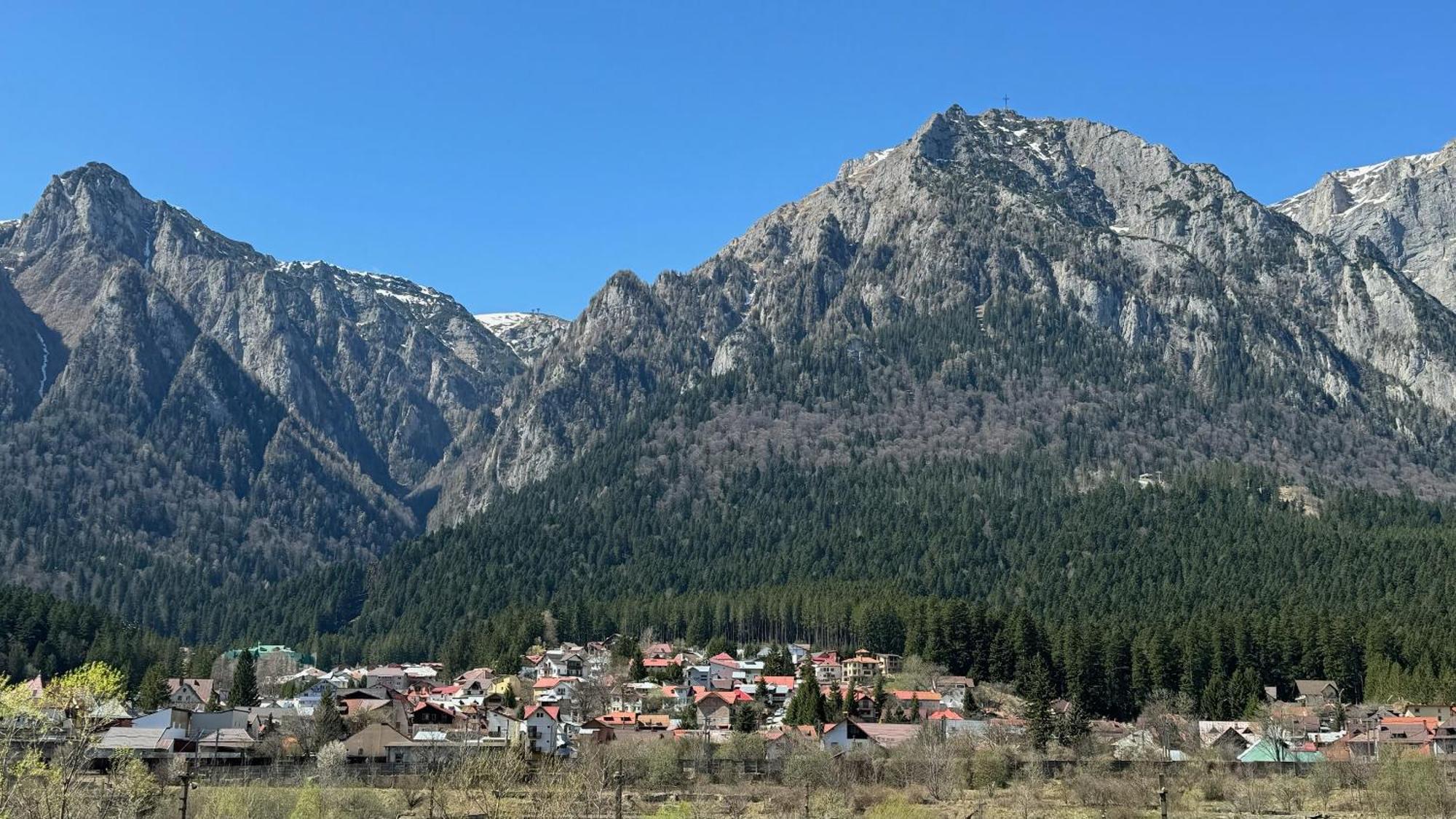 Apartment Mountain View By The River - Ev Plug Buşteni