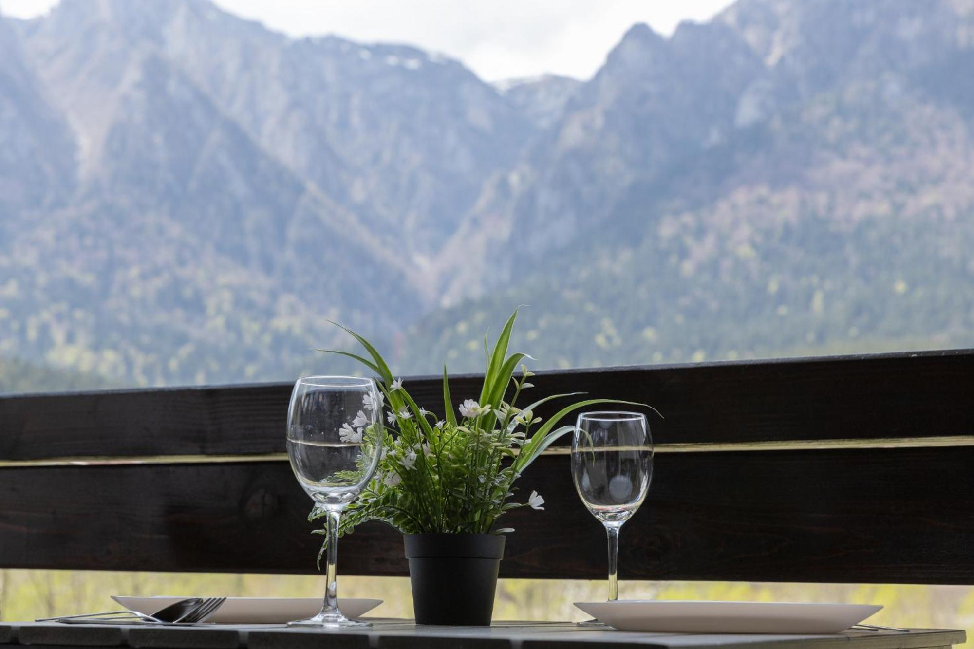 Apartment Mountain View By The River - Ev Plug Buşteni